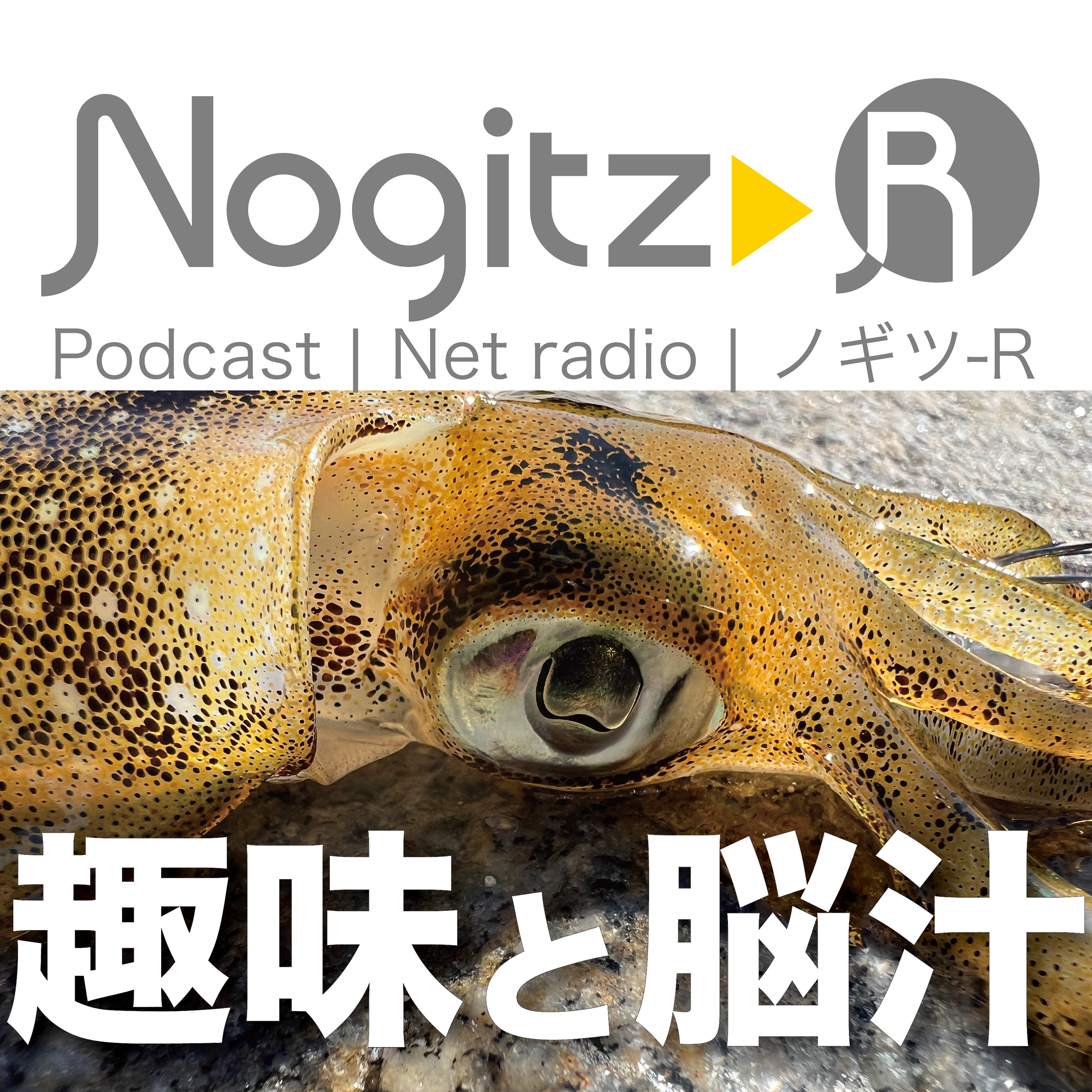 ノギツ-R 第487回/ 趣味と脳汁
