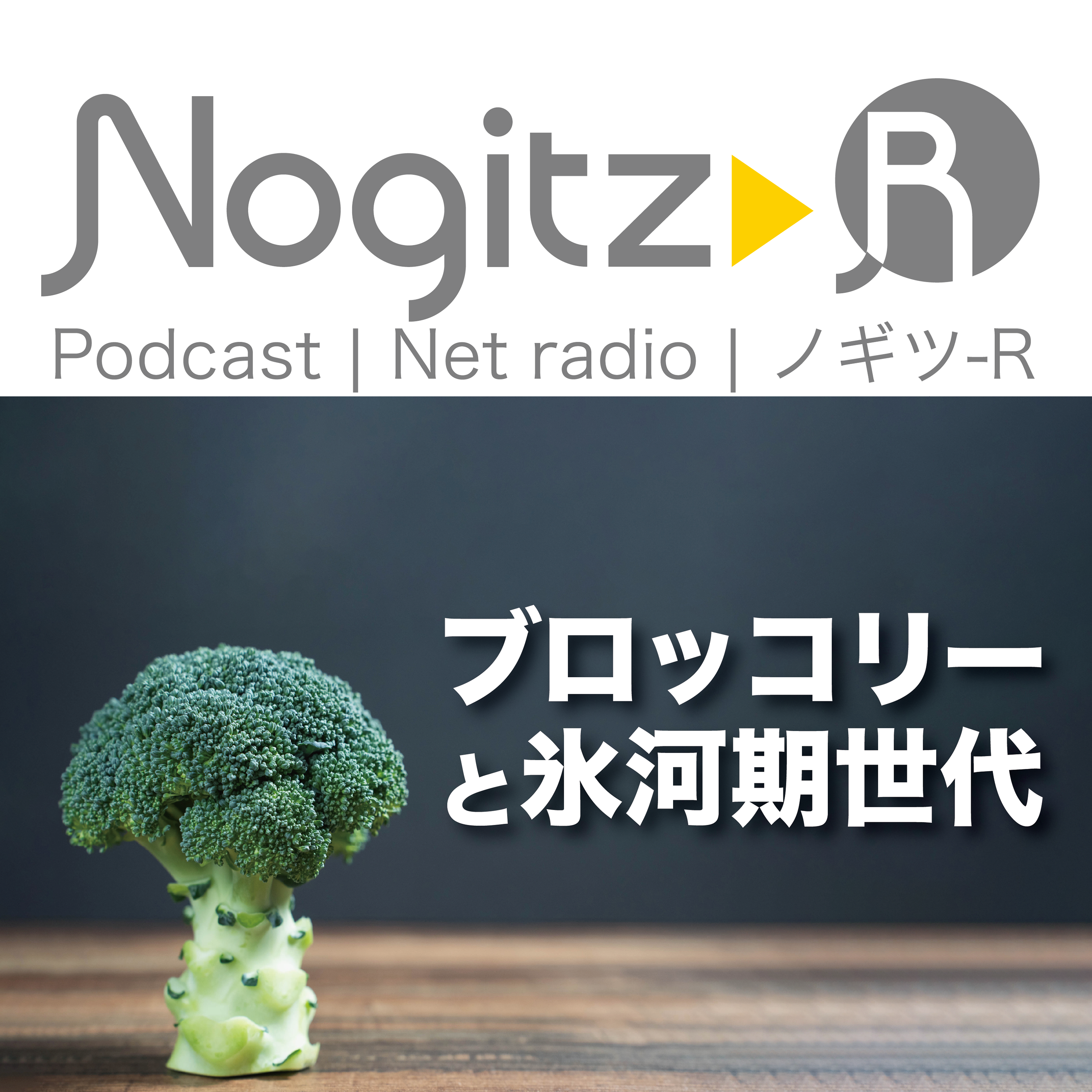 ノギツ-R 第490回/ ブロッコリーと氷河期世代