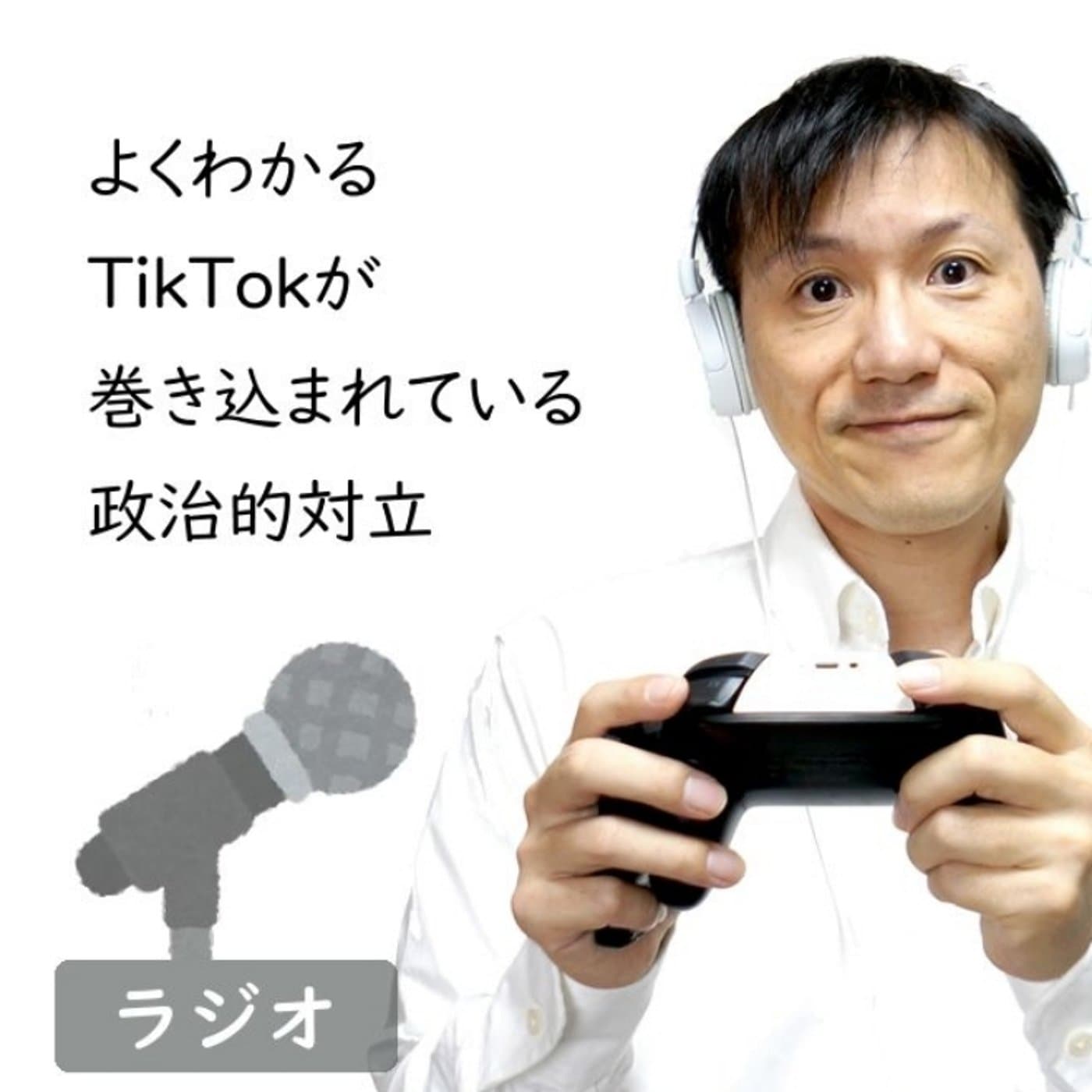 【#171】すぐわかるTikTokと政治