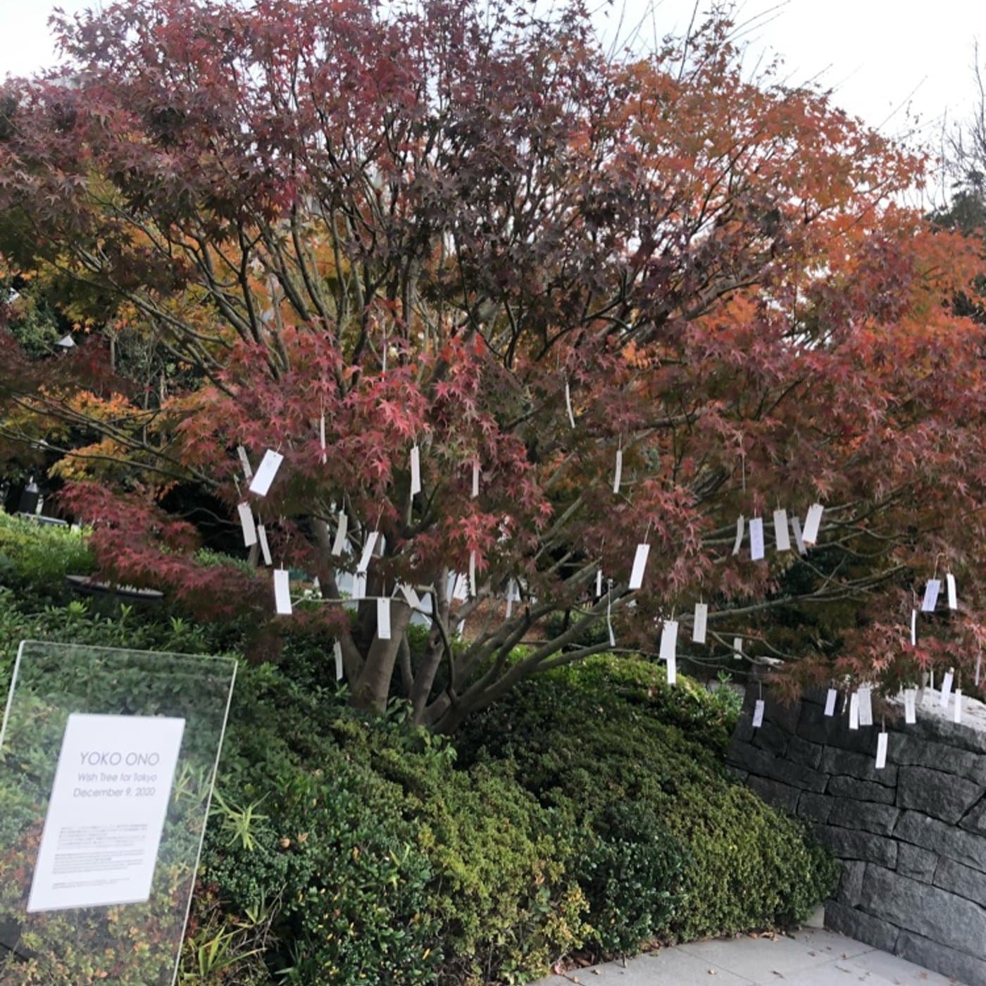 #083 週末のおすすめ from TokyoArtBeat もうすぐ終了
