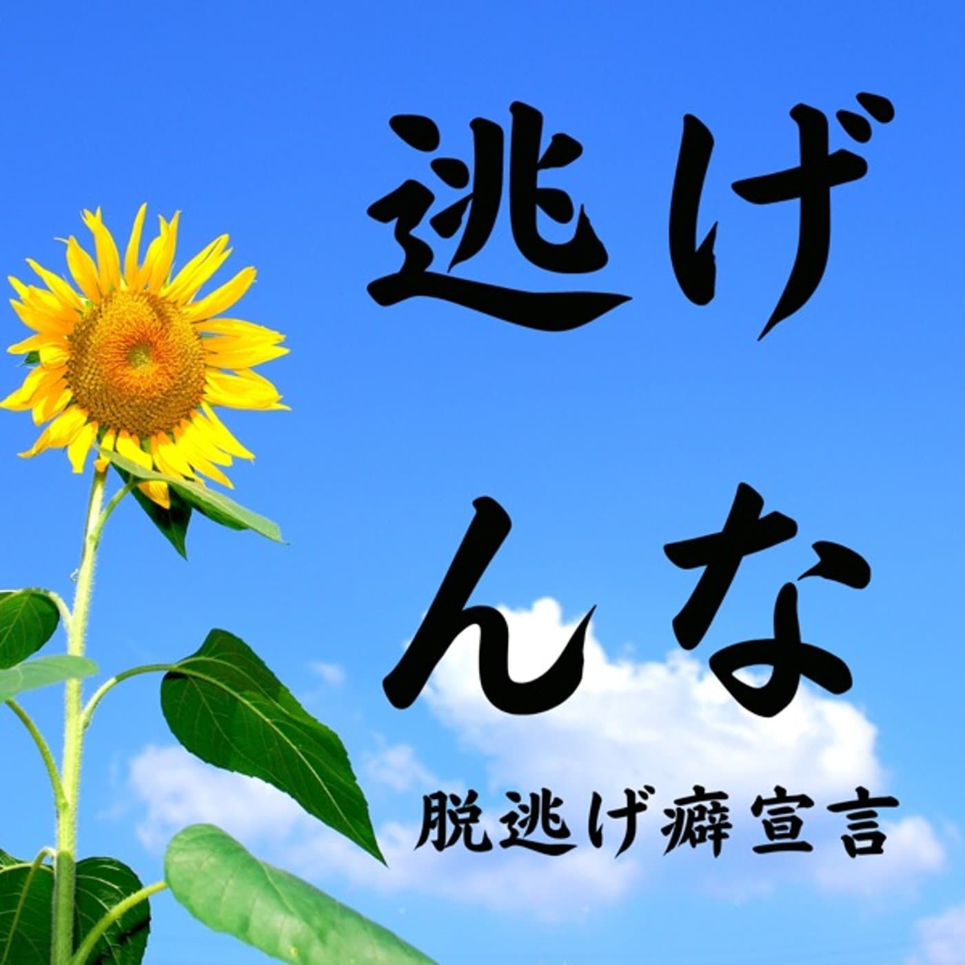 それでもあなたは逃げますか?ライブ