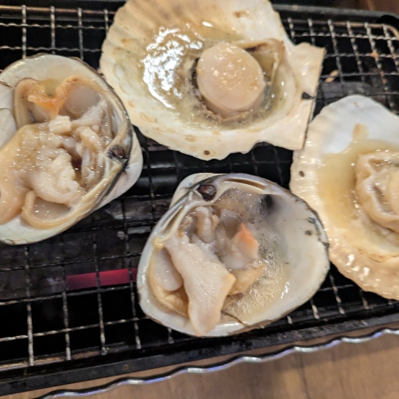 人生半分損してるよ