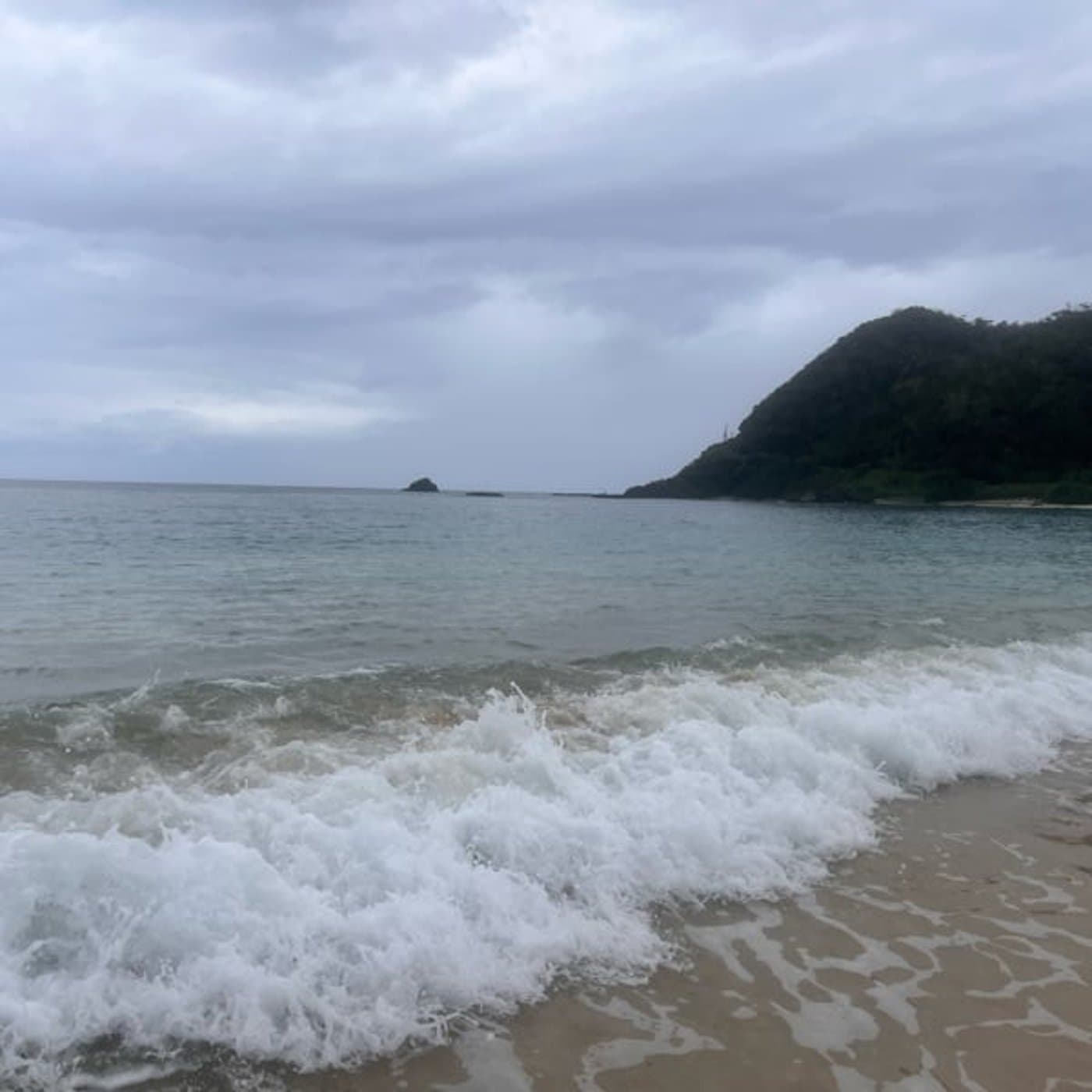 海の彼方からの静寂の音を聴く、龍涎香のお話し