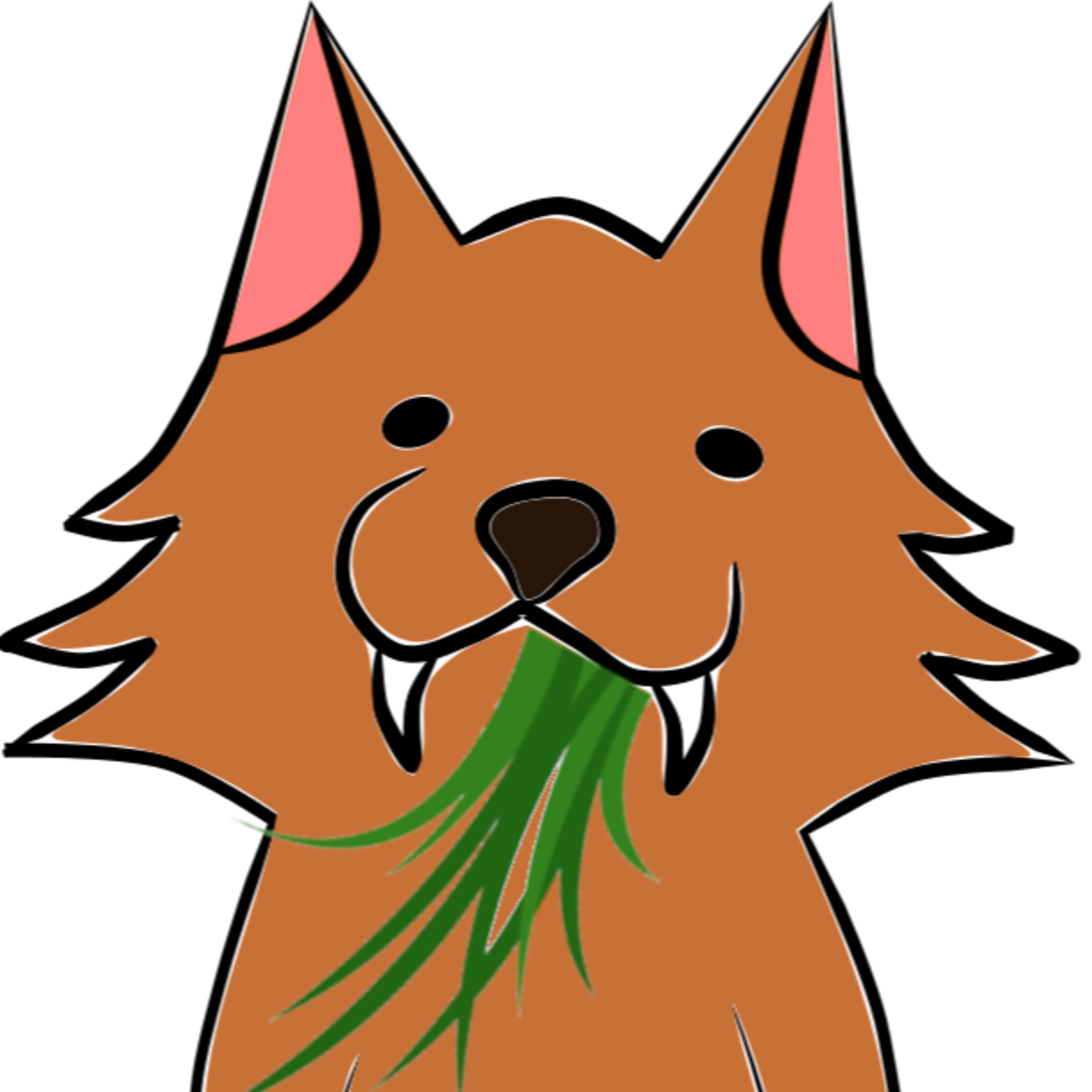 動物と毒性の話からの連想1~味覚と生き物と本来の食べるについて?