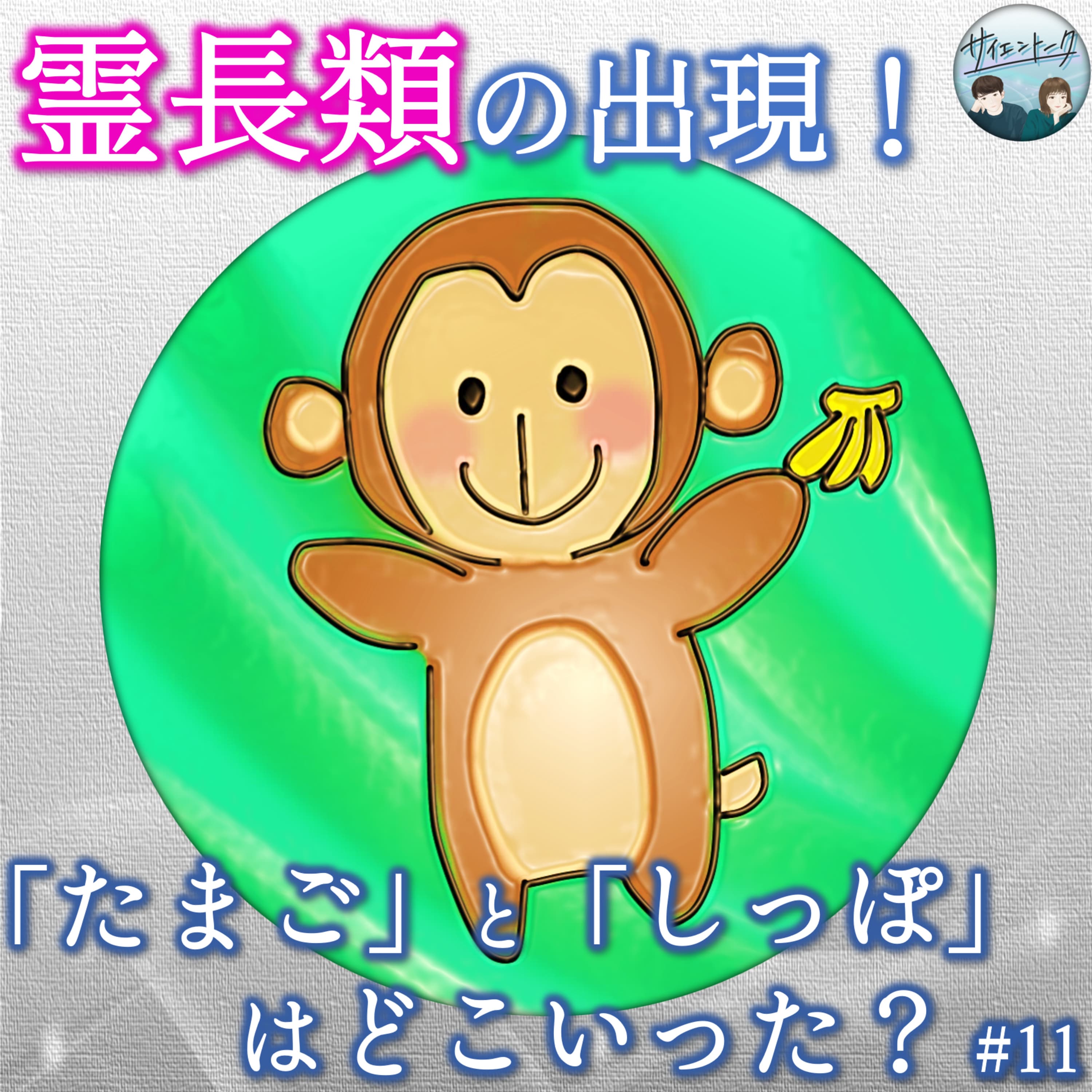 11. 霊長類の出現!「たまご」と「しっぽ」はどこいった?