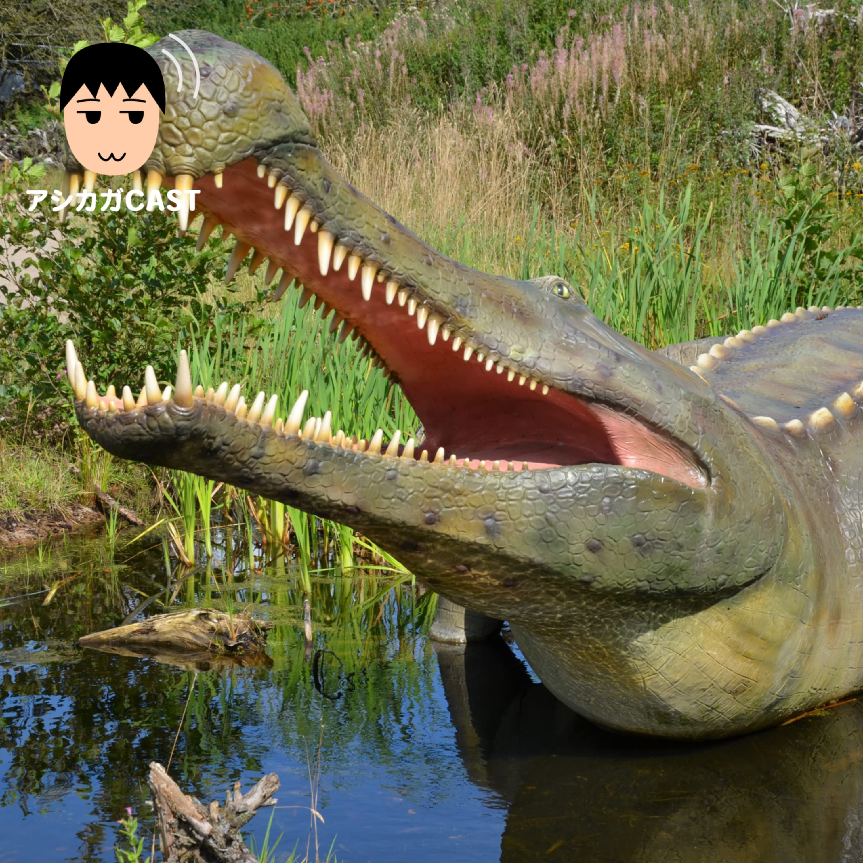 ワニくんとPhotoshopのデモとポッドキャストのタイトル(第231回)