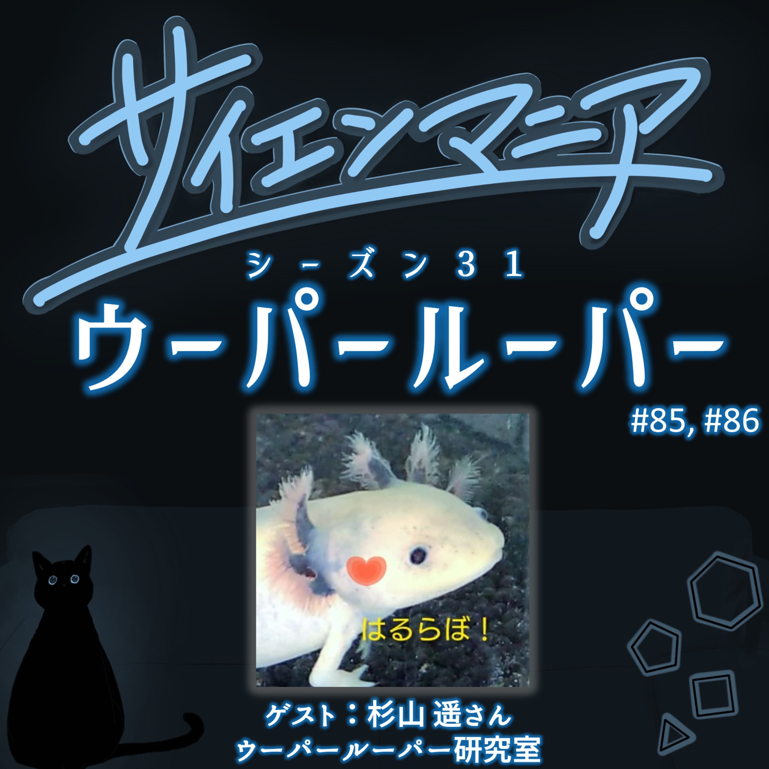 自宅で行うウーパールーパーの研究とは?睡眠と体色は関係する?【ウーパールーパー 前編】 #85