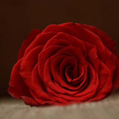 #296 【夫婦配信】真実の愛とはなんなのか?「What you have」ではなく「Who you are」で考えるとは?