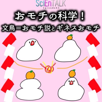 おモチの科学!文鳥=おモチ説とギネスおモチ #63