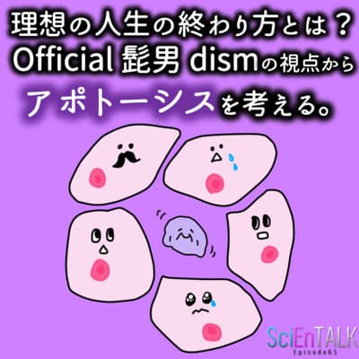 理想の人生の終わり方とは?Official髭男dismの視点からアポトーシスを考える。 #65