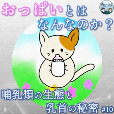10. おっぱいとはなんなのか?哺乳類の生態と乳首の秘密