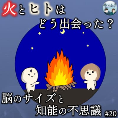 20. 火とヒトはどう出会った?脳のサイズと知能の不思議