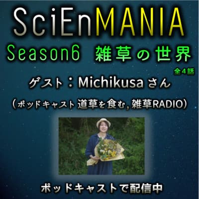 雑草を食べる?身近な雑草たちの魅力【道草を食むコラボ 雑草①】#20