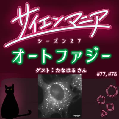 オートファジーって何?賢い細胞のリサイクル術!?【オートファジー 前編】#77