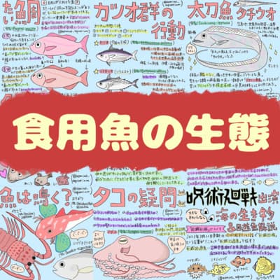 いまさら聞けない!食用魚の生態【ゲスト:蒼美莉(あおいみのり)さん】