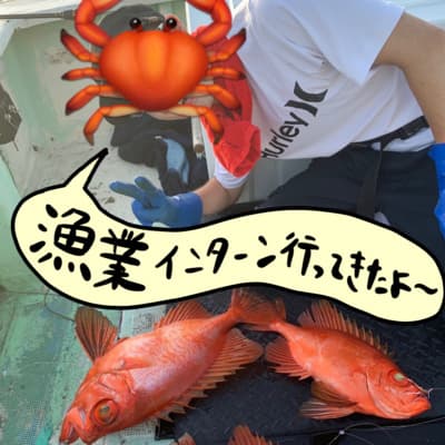 【体験レポ】漁業インターン行ってきたよ〜