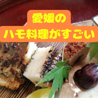 愛媛のハモ料理がすごい