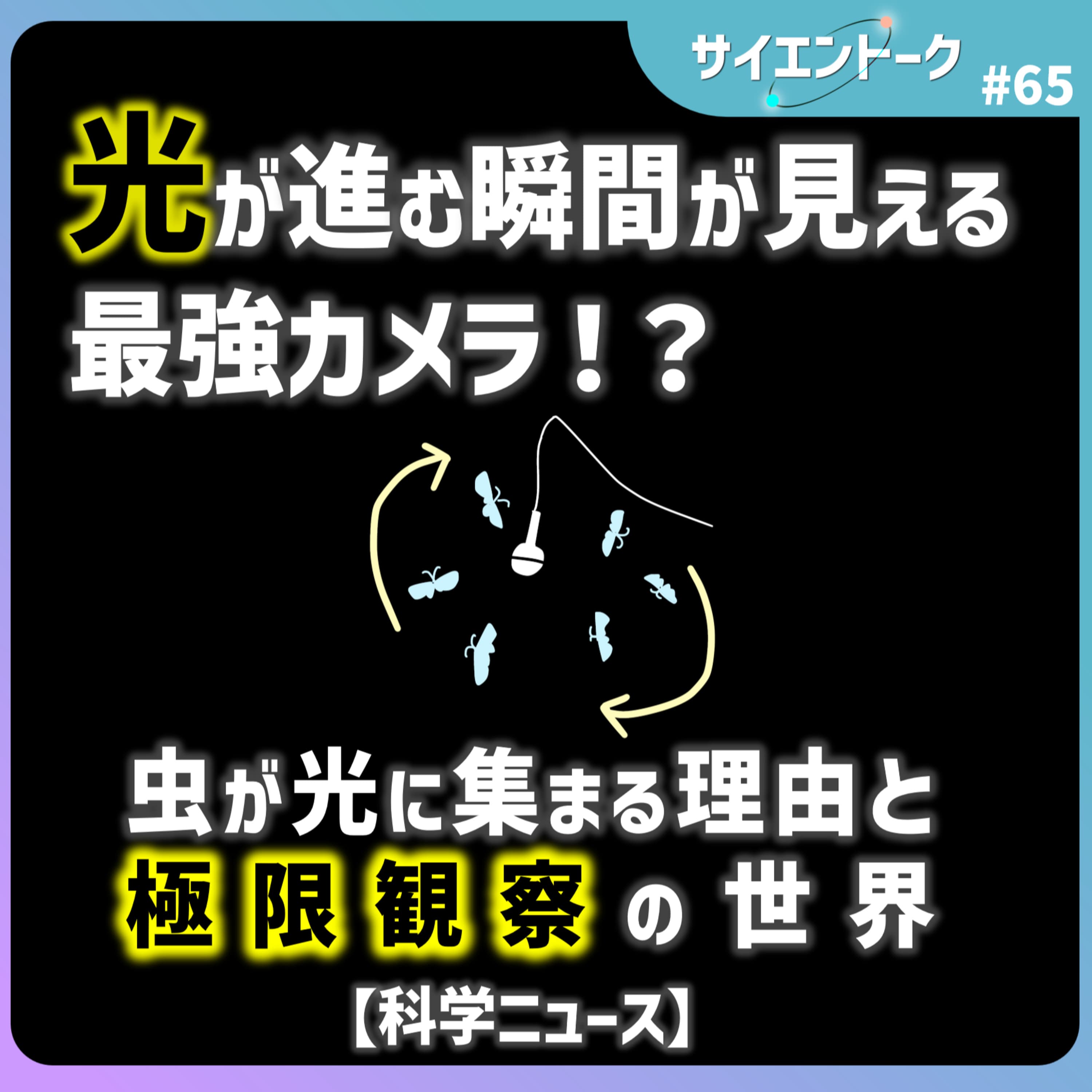 65. 光が進む瞬間が見える最強カメラ!虫が光に集まる理由と極限観察の世界【科学ニュース】