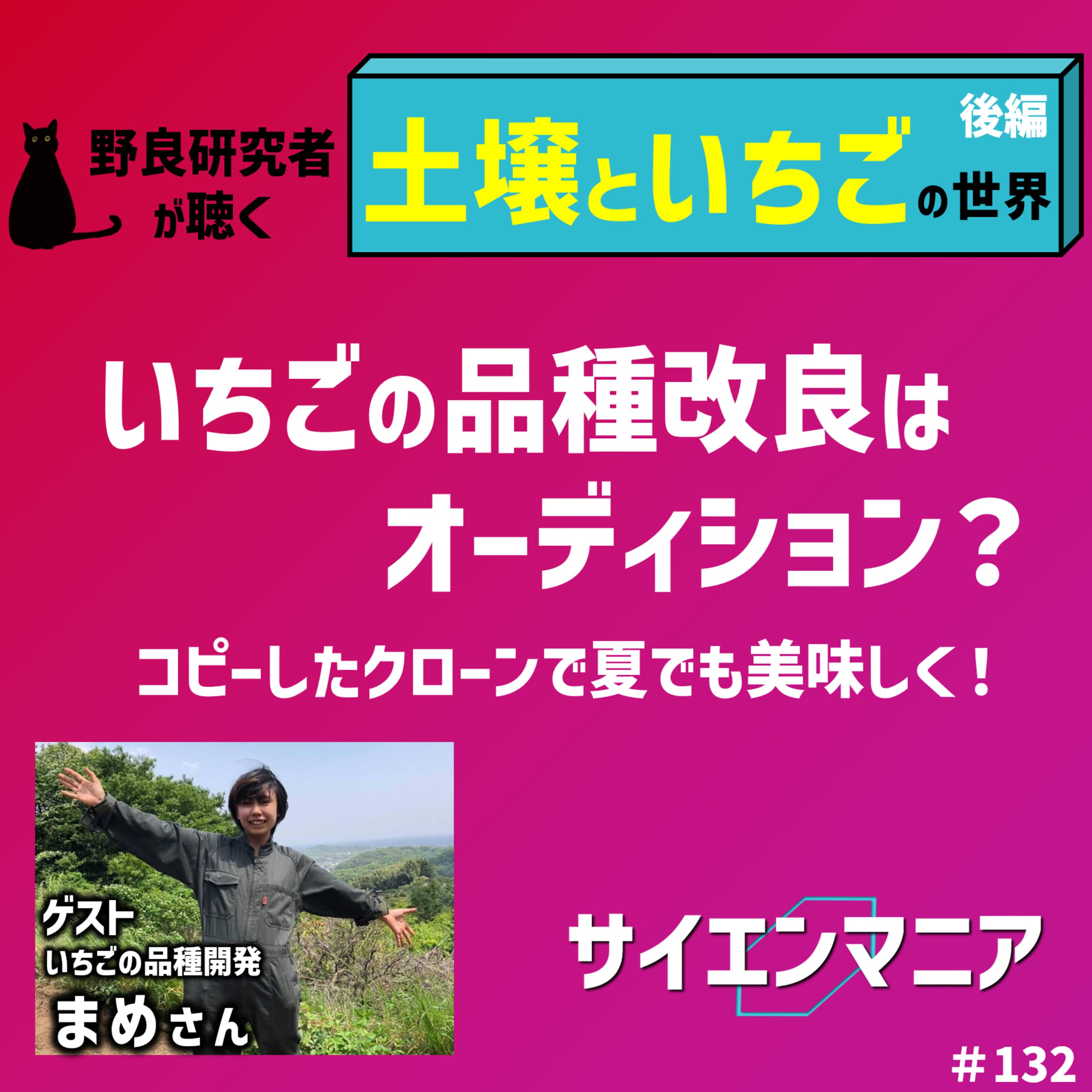 いちごの品種改良はオーディション?コピーしたクローンで夏でも美味しく!【土壌といちご 後編】#132