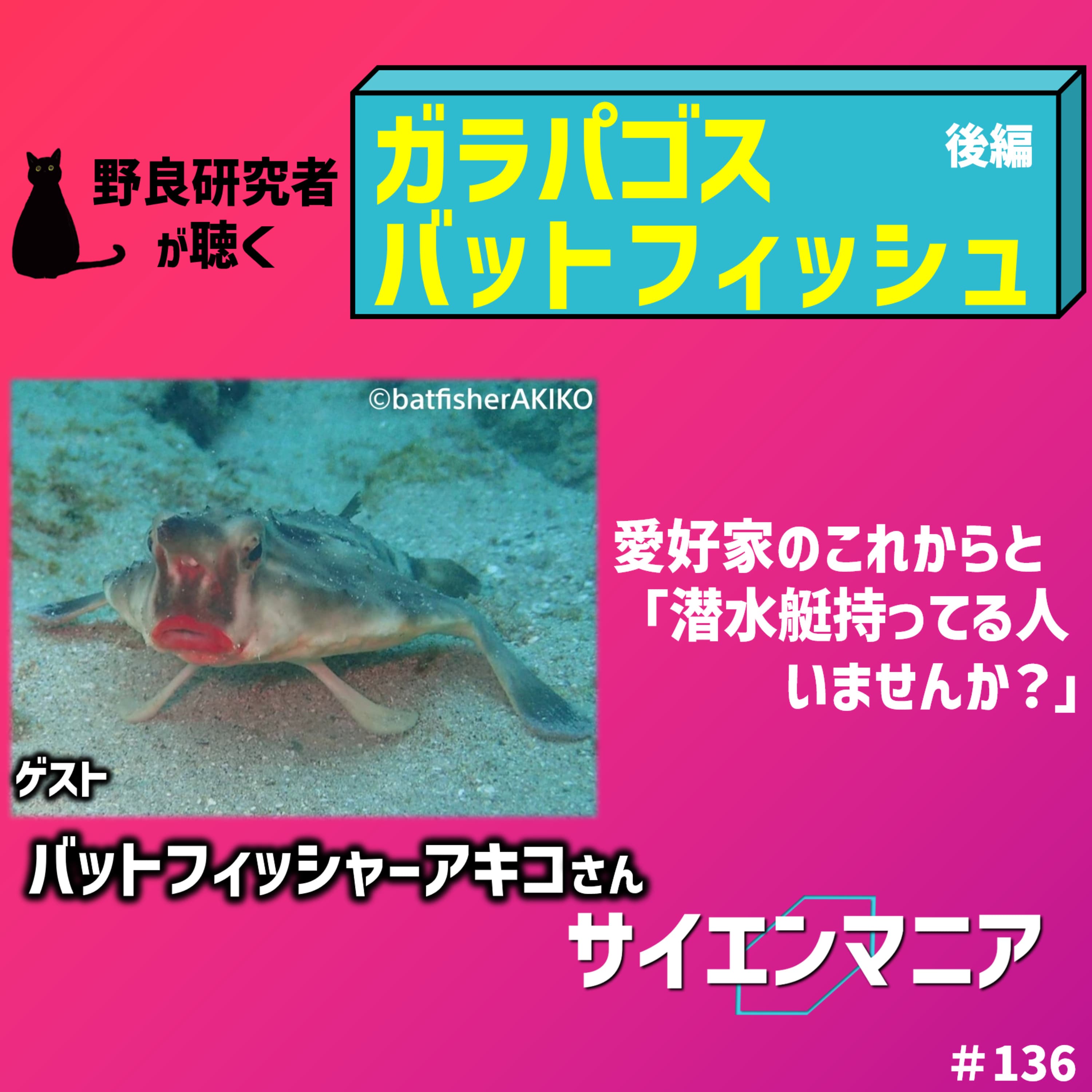 ガラパゴスバットフィッシュ愛好家のこれからと「潜水艦持ってる人いませんか?」【ガラパゴスバットフィッシュ後編】 #136