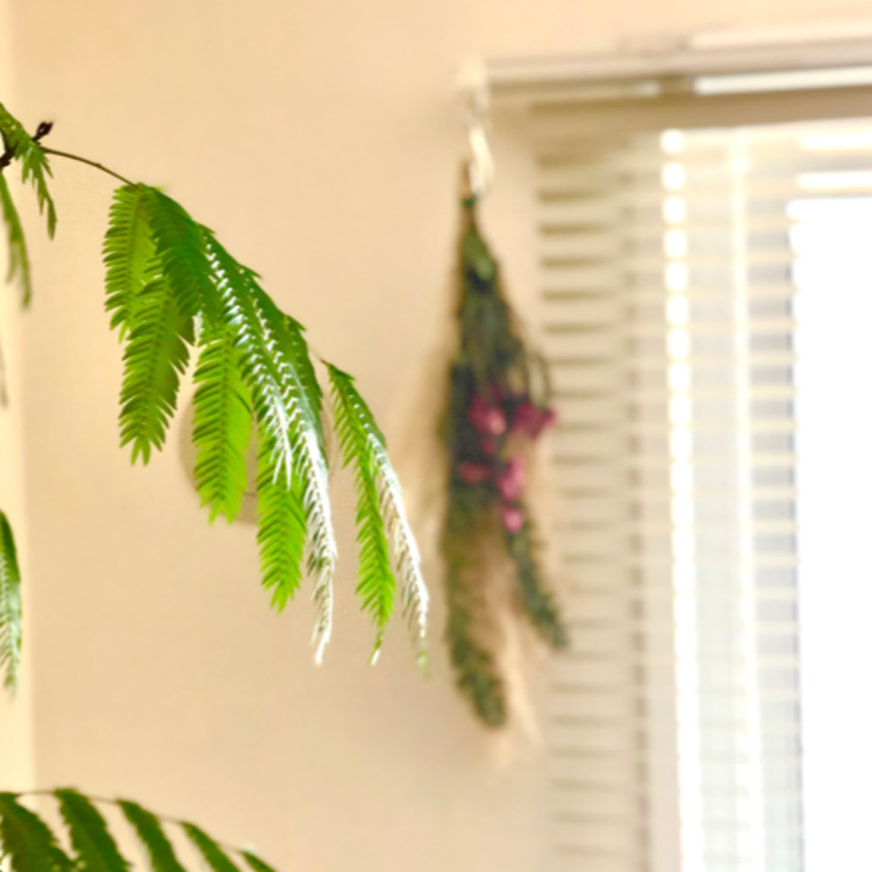 34.植物の生産者さんに思いを馳せる