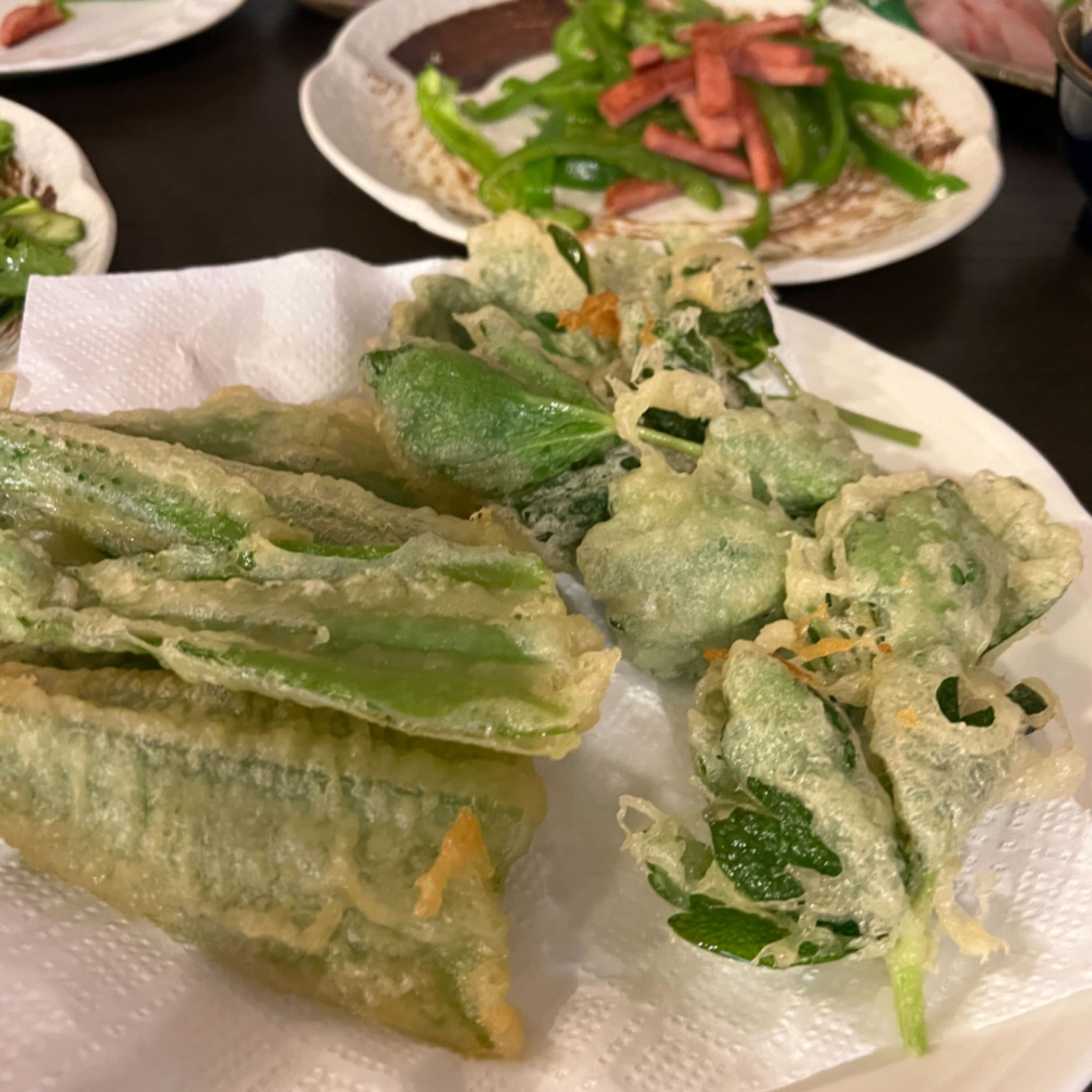 218.沖縄で植物の本気を見てきました