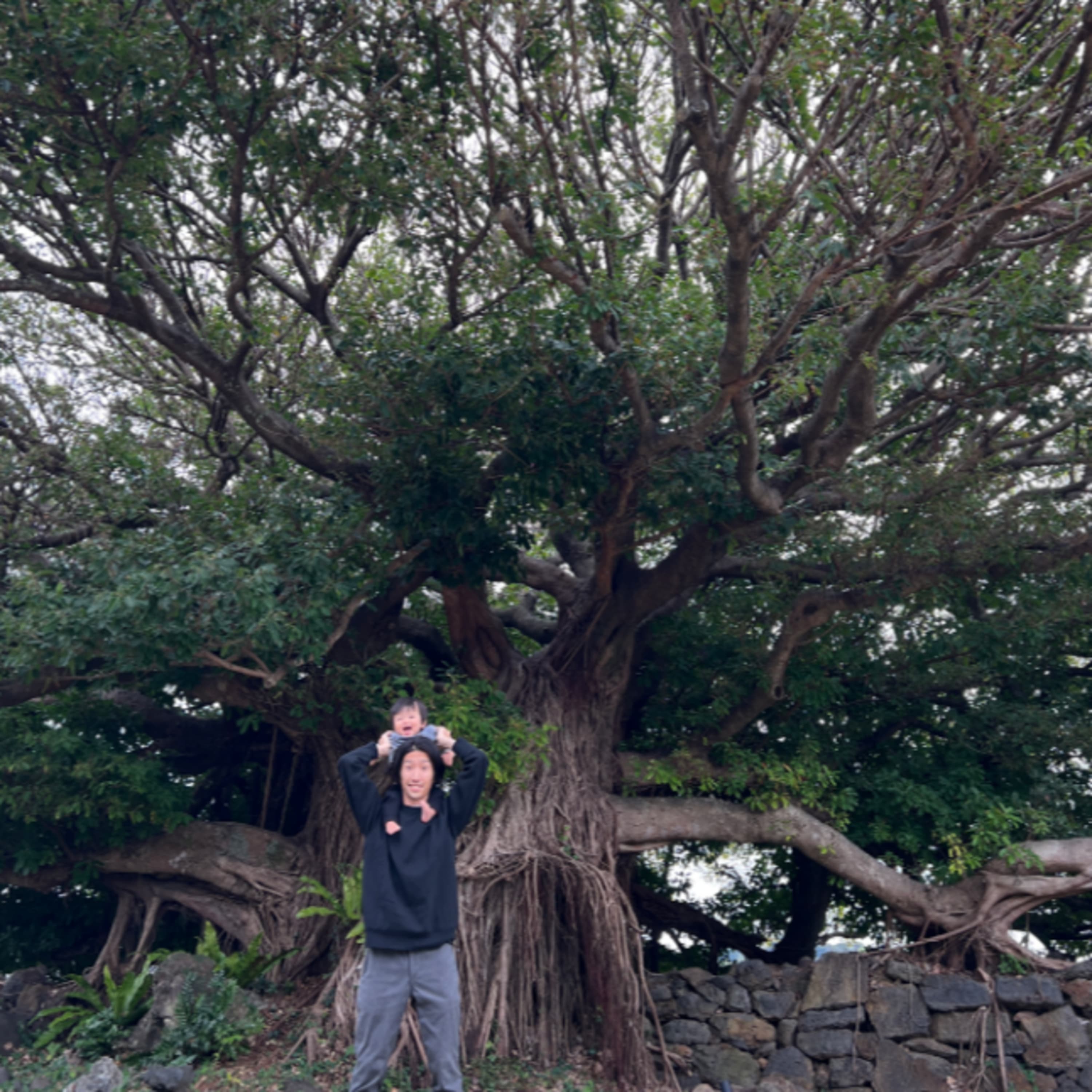 309.前編)シンボルツリーは樹齢250年「AKO HOUSE」に行ってきました