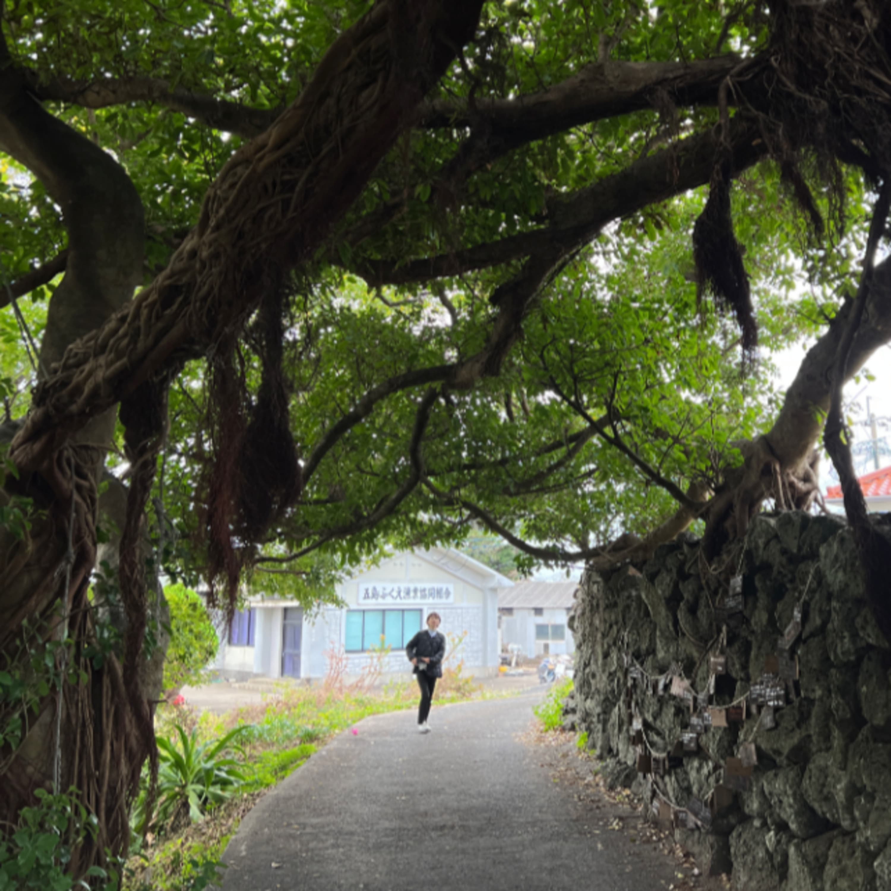 309.後編)シンボルツリーは樹齢250年「AKO HOUSE」に行ってきました