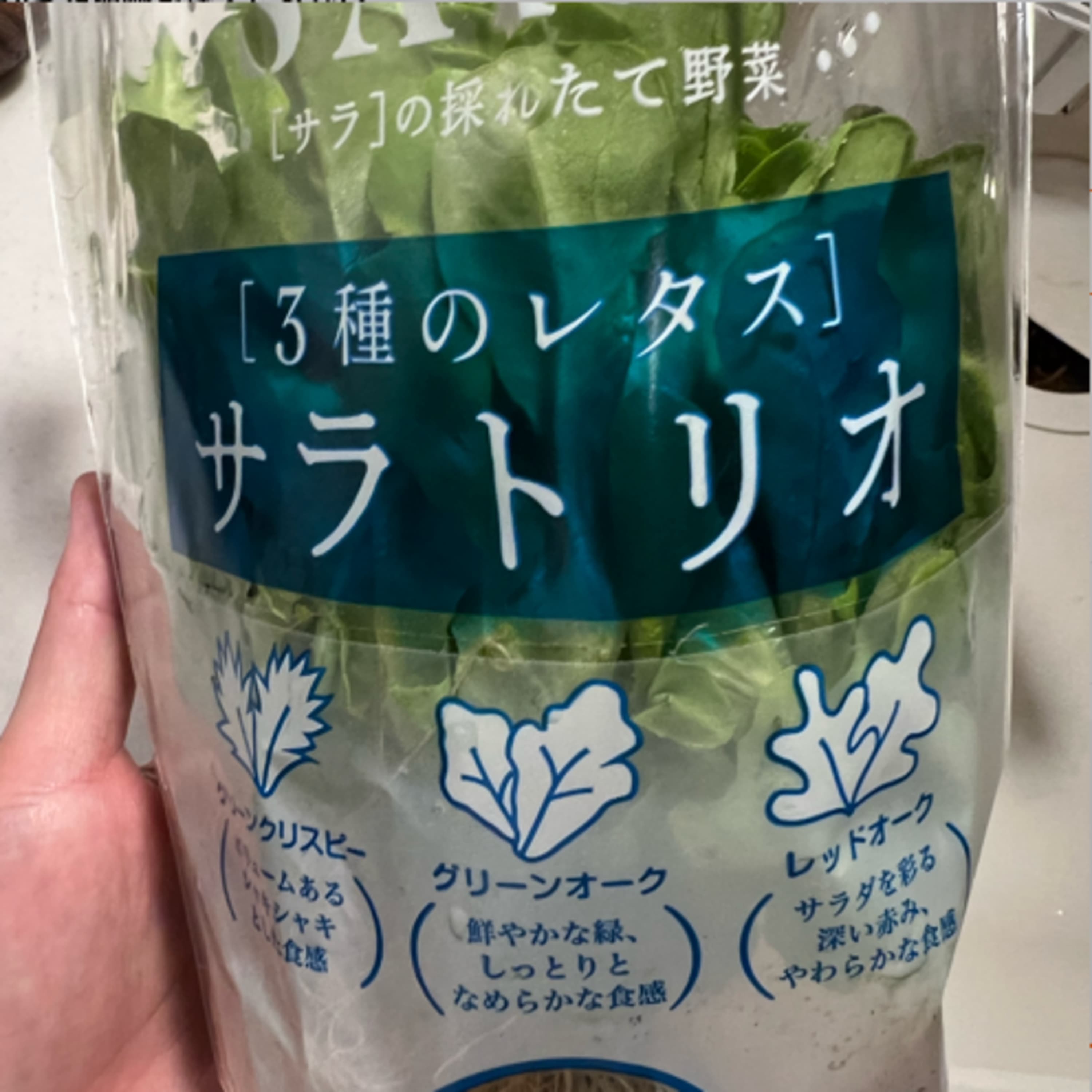 118.切った植物を捨てられない