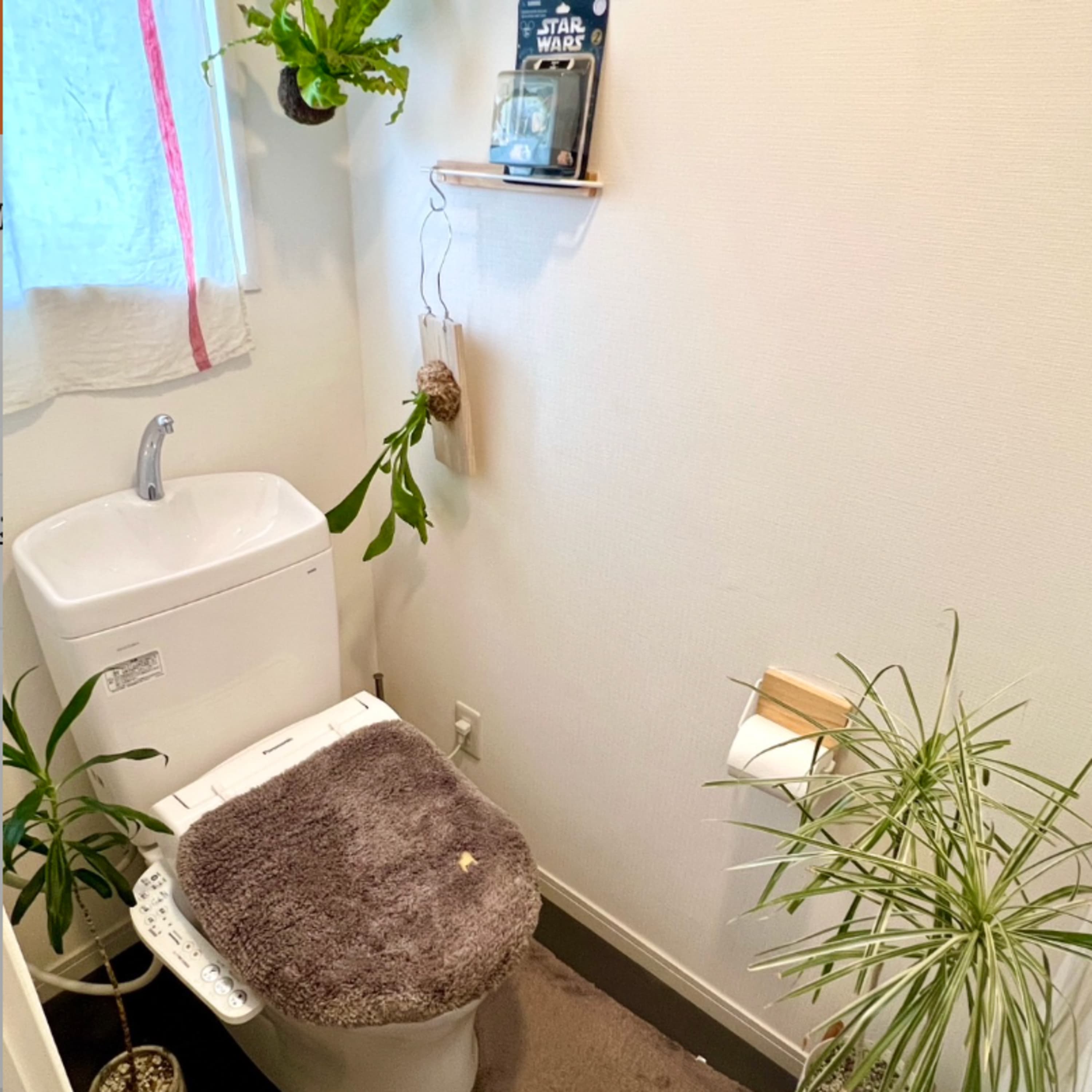 297.かなり良いです!トイレに観葉植物