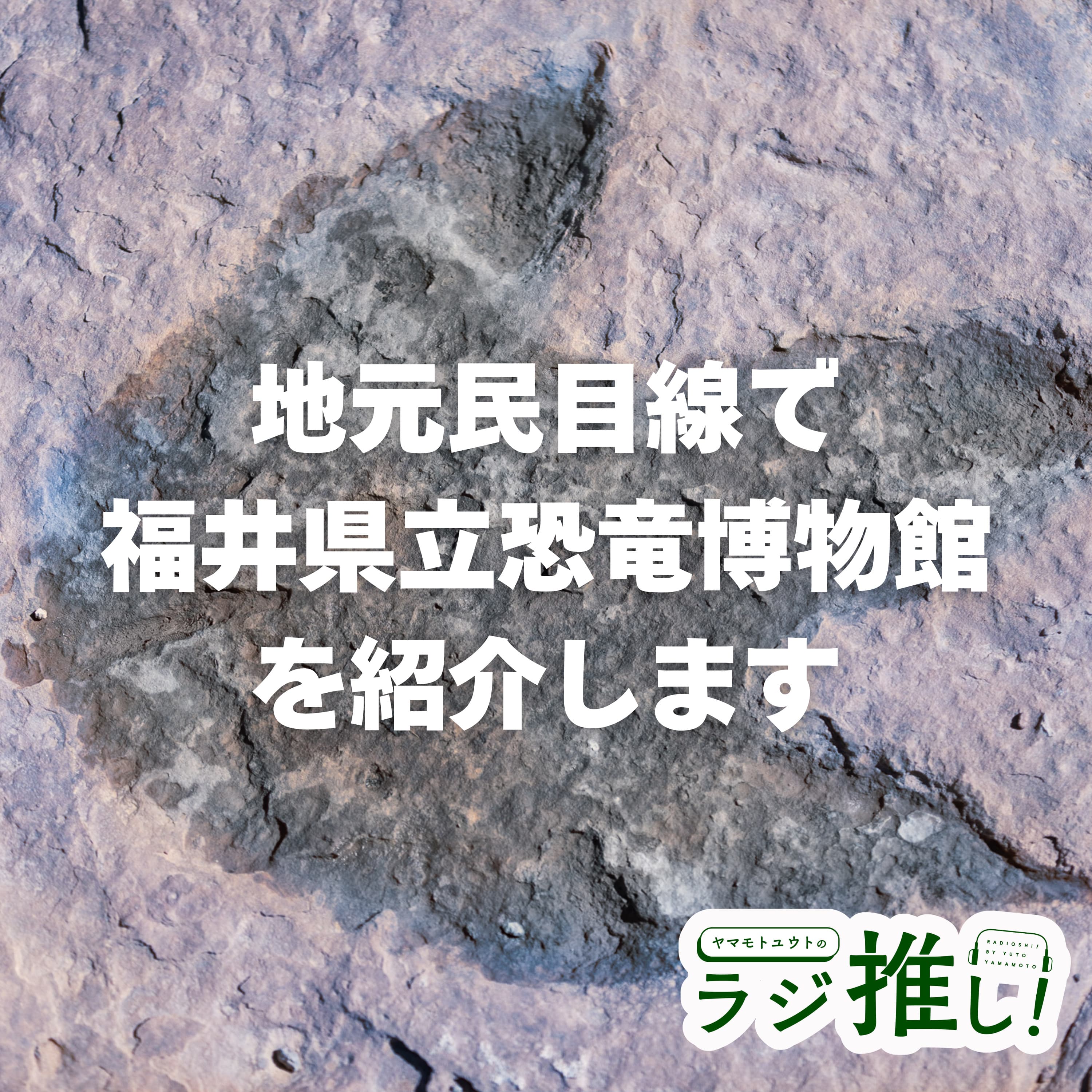 福井県立恐竜博物館:地元民目線で語る恐竜の聖地とロマン!