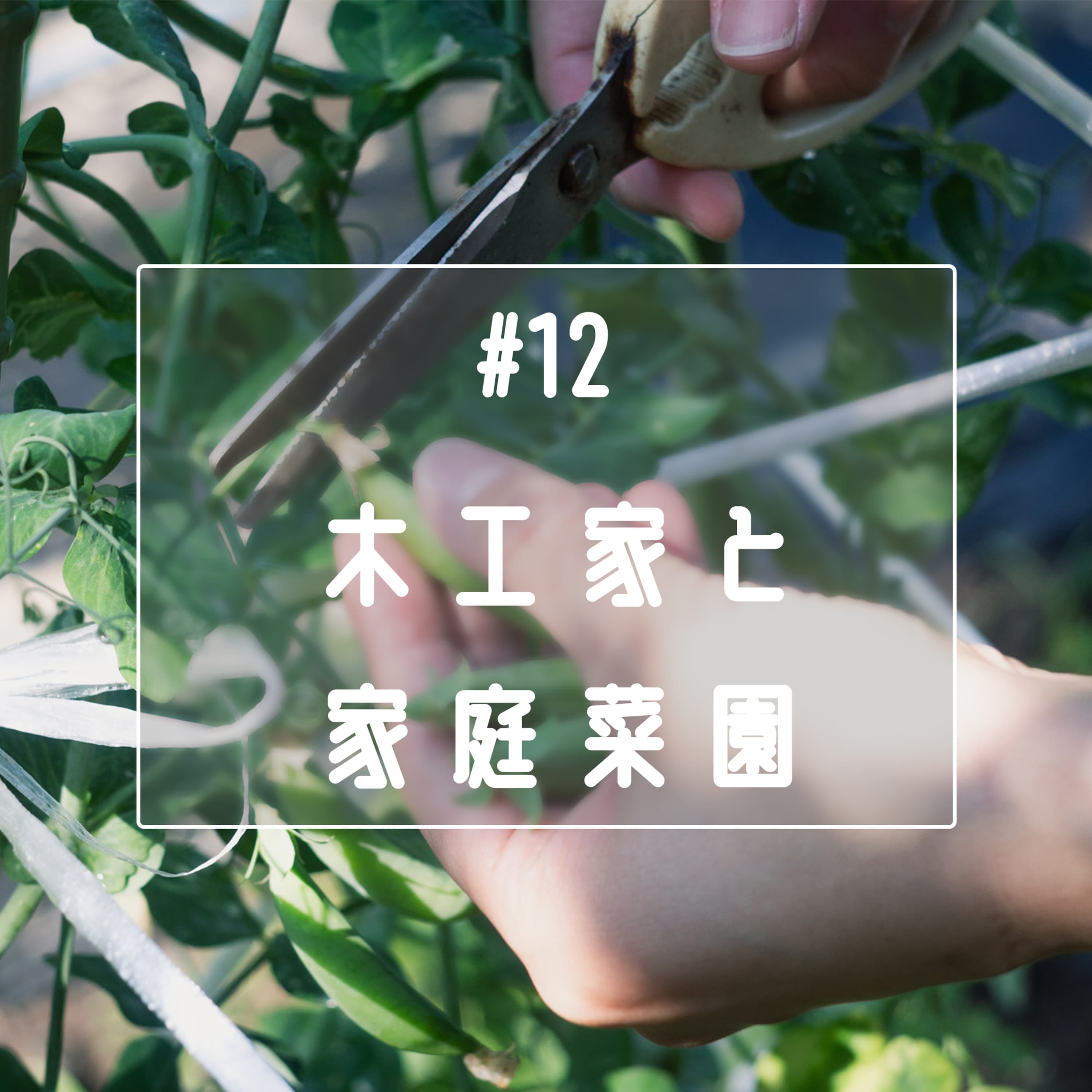 #12 木工家と家庭菜園