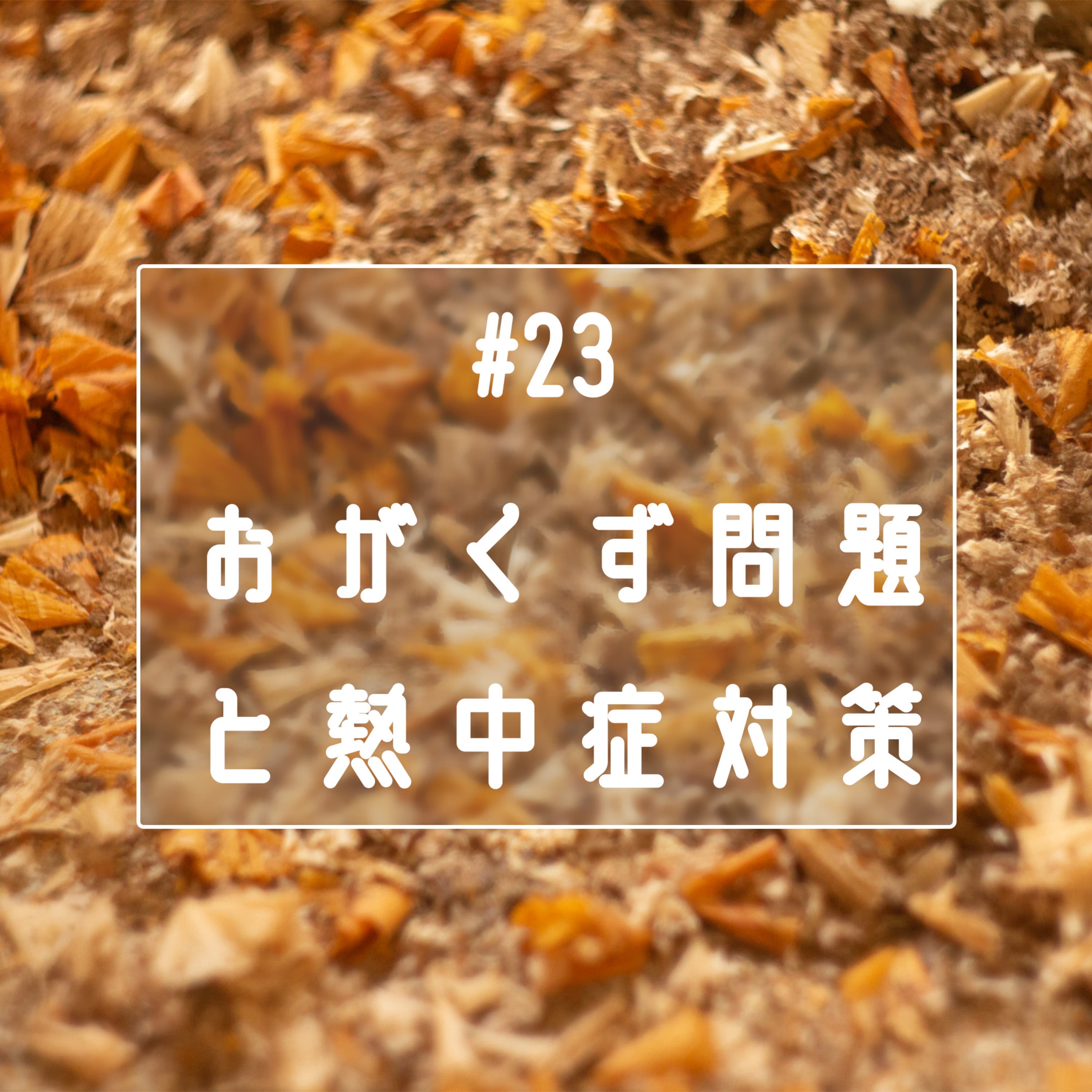 #23 おがくず問題と熱中症対策