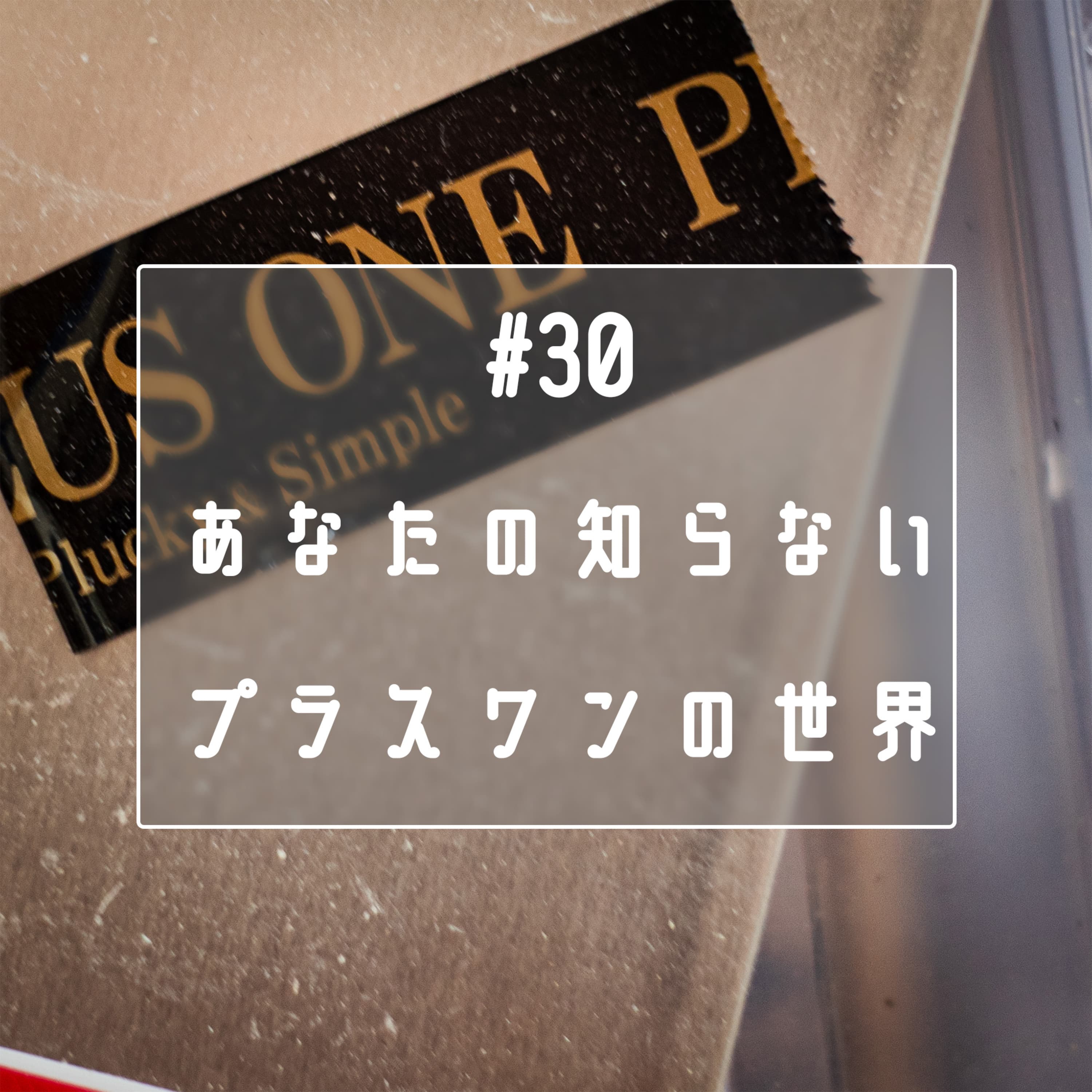 #30 あなたの知らないプラスワンの世界