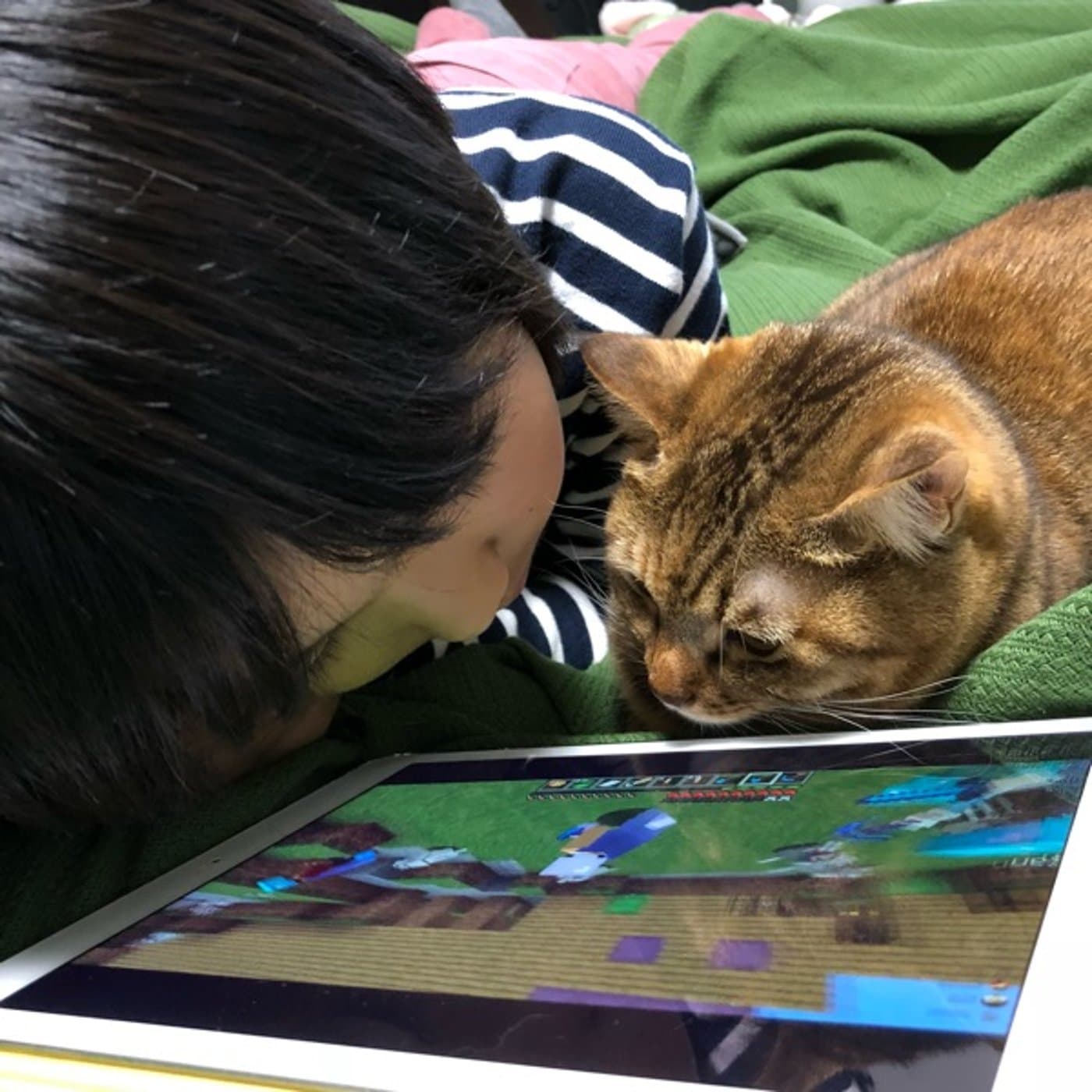 猫にいつもかける言葉は「ありがとう」【にゃらティブ特別回】