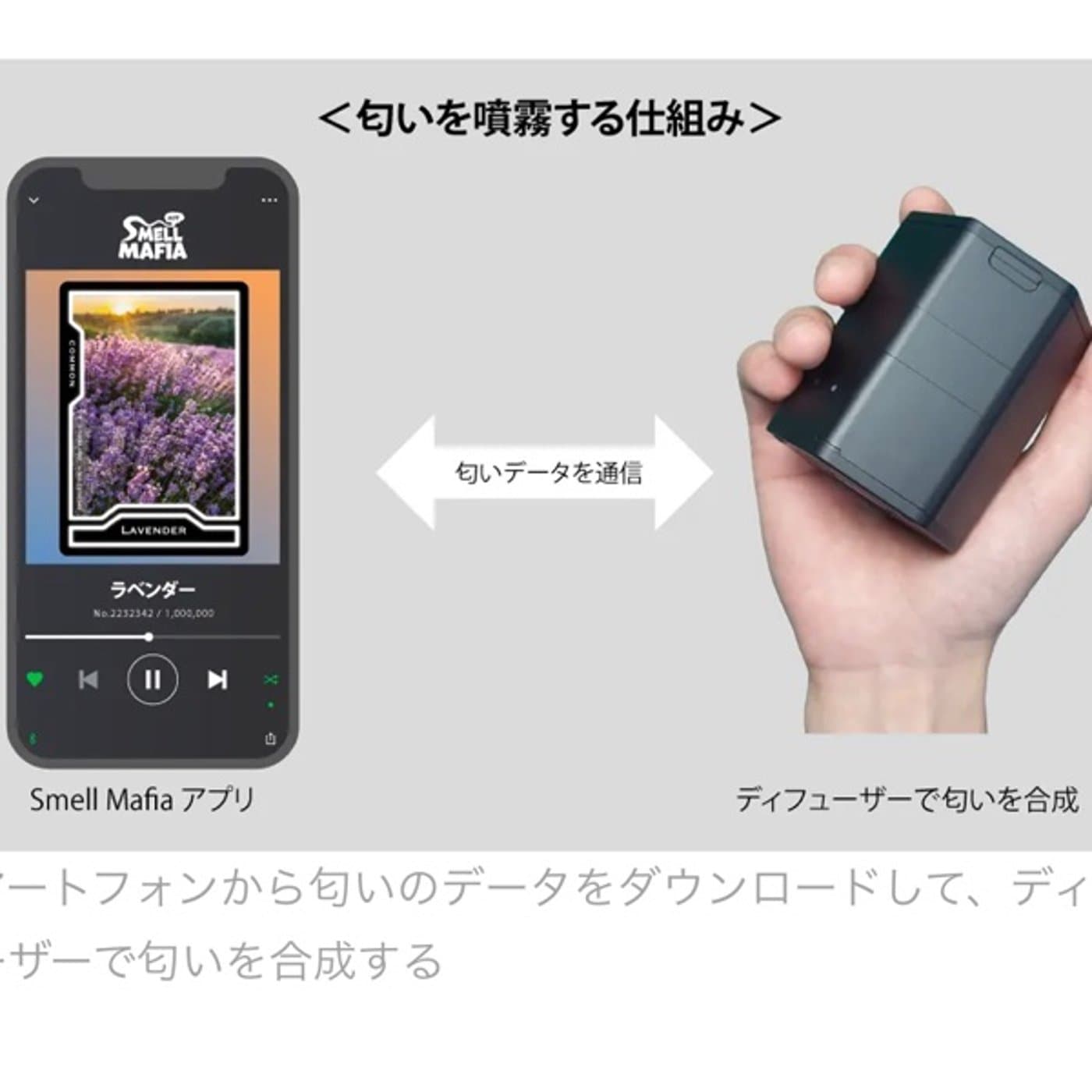 匂い×NFT体験しました!