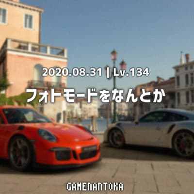 Lv.134|フォトモードをなんとか