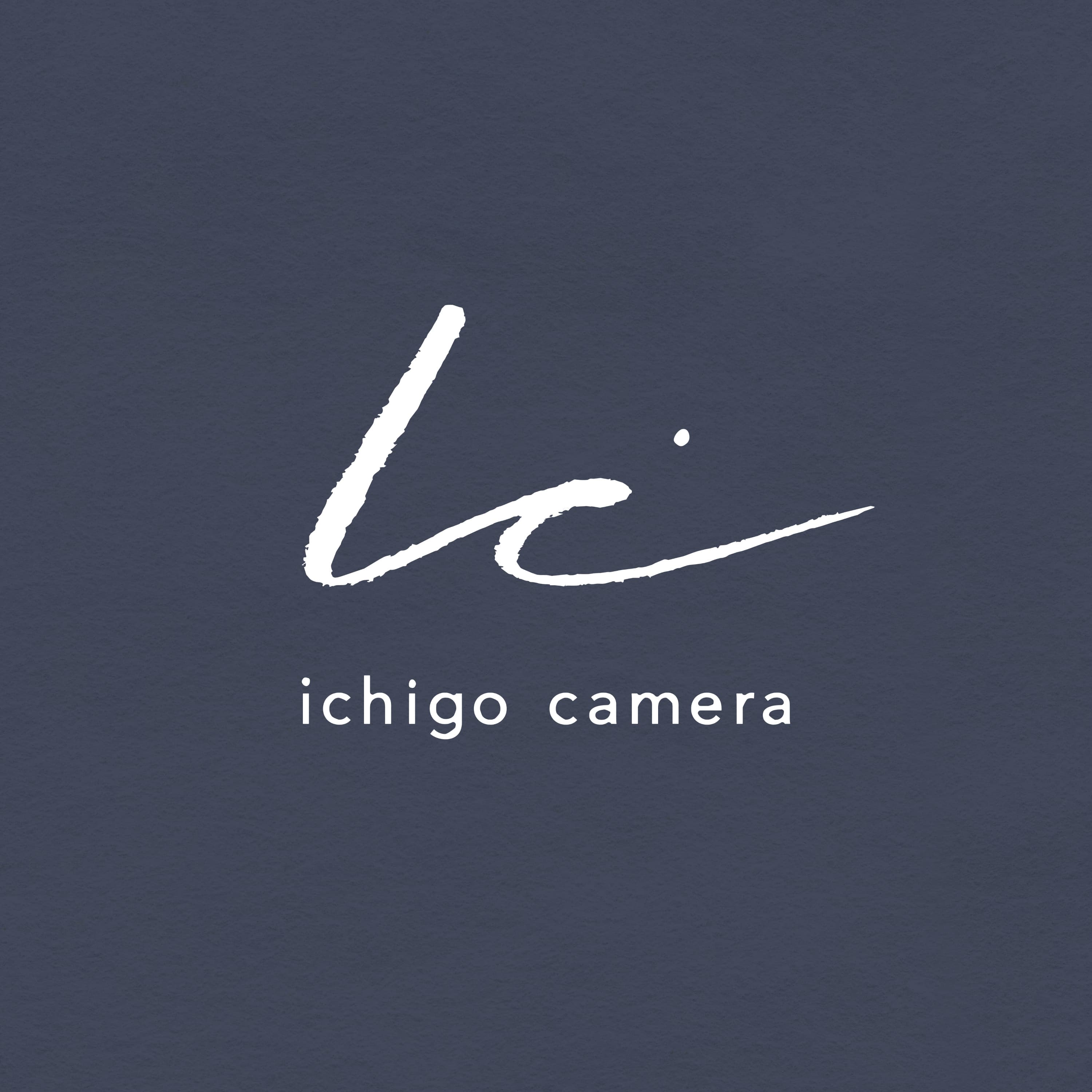 写真と万年筆のイチゴカメラ