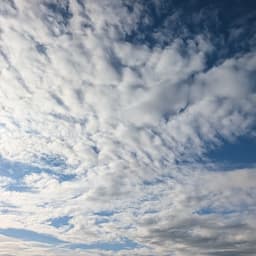 有意義なこと、聞き出したい