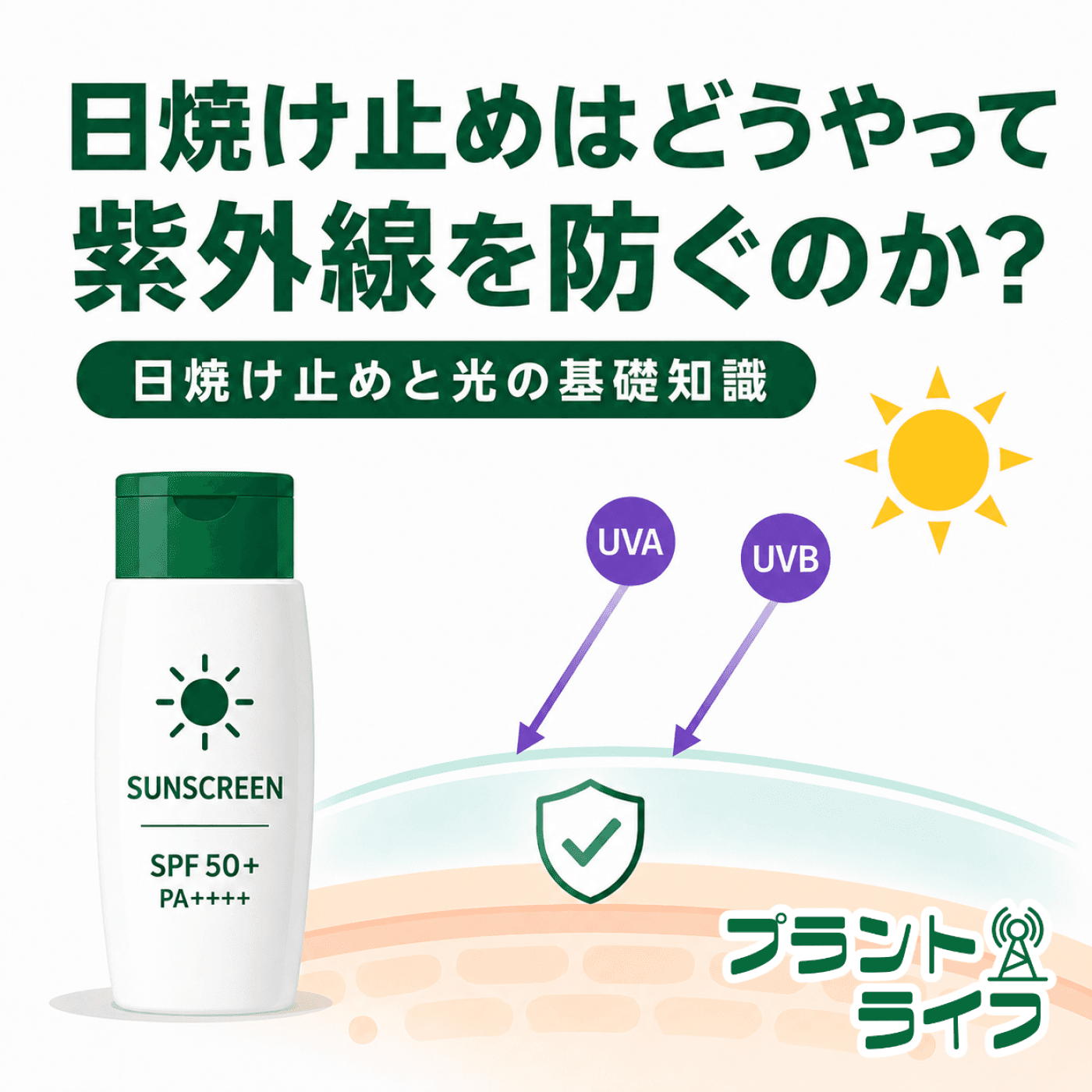 #104 日焼け止めはどうやって紫外線を防ぐのか?